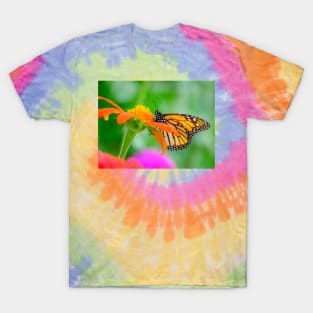 Monarch Butterfly on Flower Photograph T-Shirt